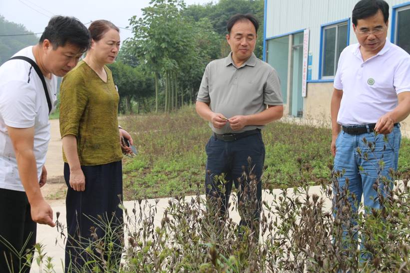 0ef6fc2cbdebba87b87be5e8a7b74fd